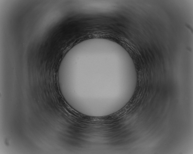 X0000097670760200803281012