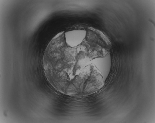 X0000097670761200803281012