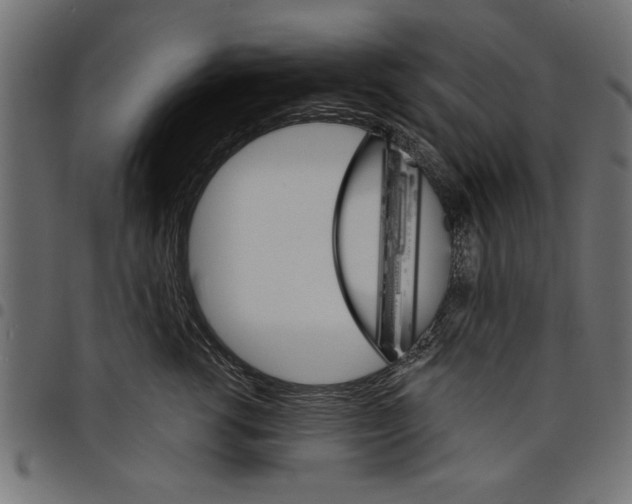 X0000097670762200803281012