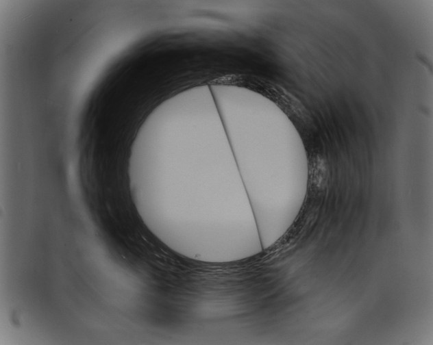 X0000097670763200803281012