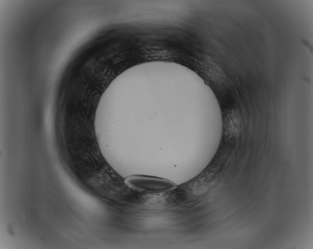 X0000097670764200803281012