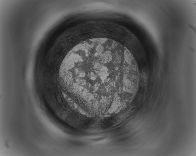 X0000097670765200803281012