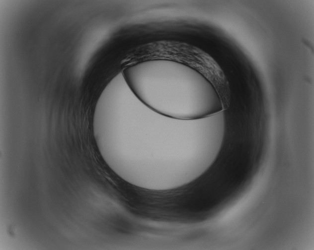 X0000097670766200803281012