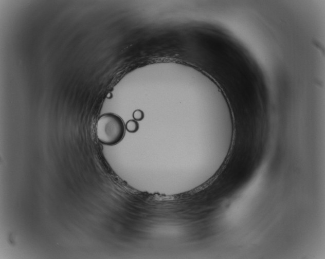 X0000097670767200803281012