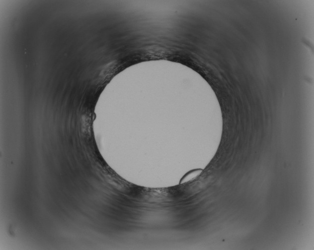 X0000097670768200803281012