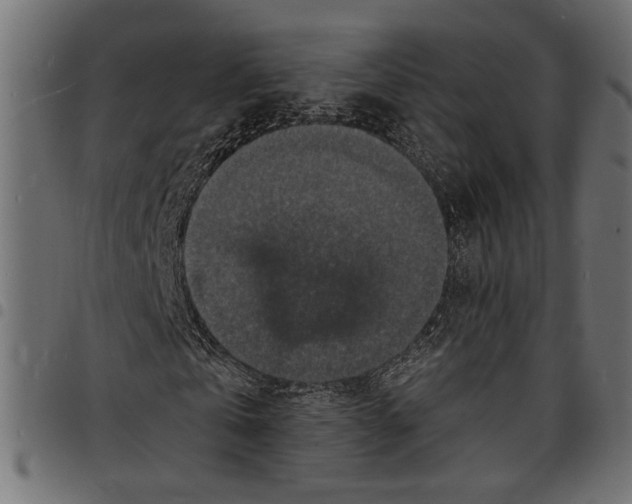 X0000097670769200803281012