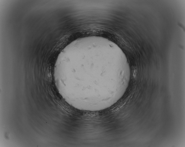X0000097670771200803281012