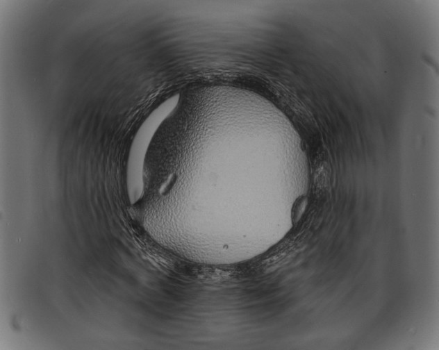 X0000097670772200803281012