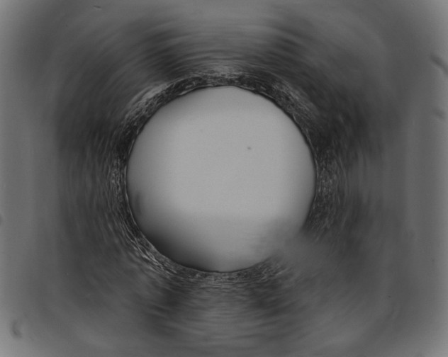 X0000097670773200803281012