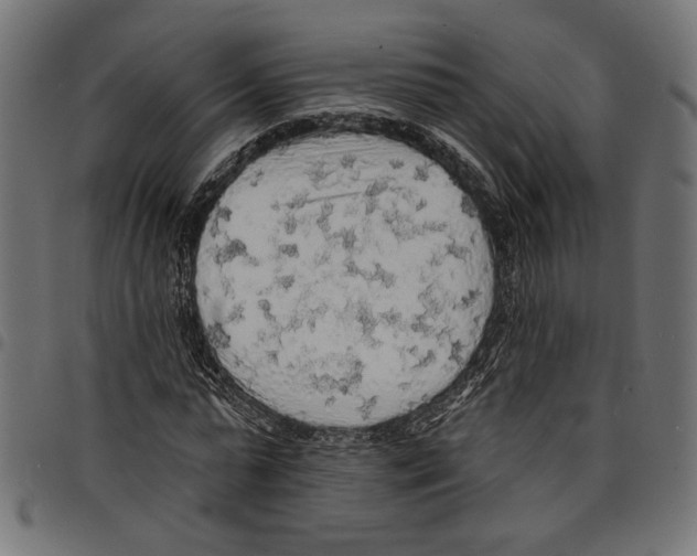 X0000097670775200803281012