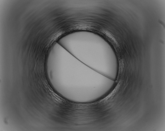 X0000097670777200803281012
