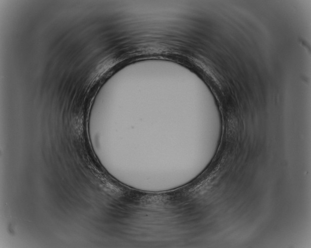 X0000097670778200803281012