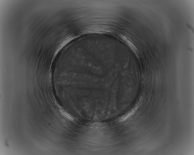 X0000097670779200803281012