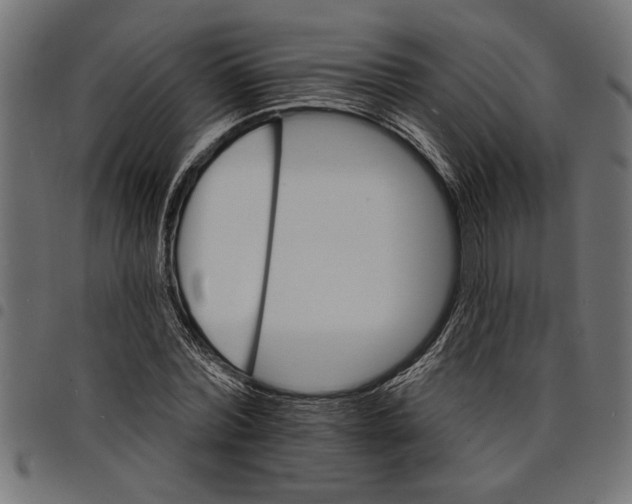 X0000097670780200803281012