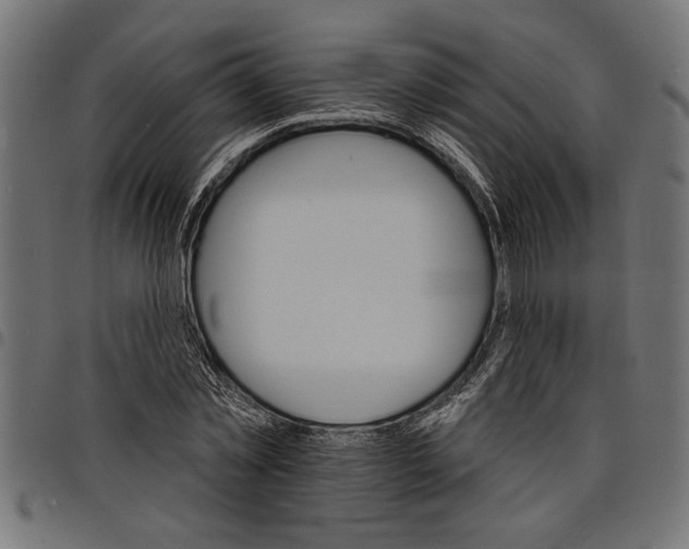 X0000097670781200803281012