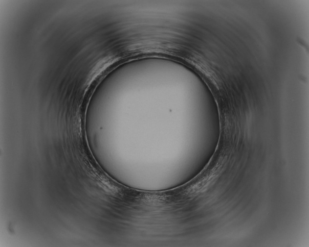 X0000097670782200803281012