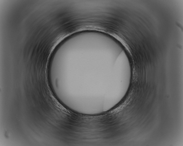 X0000097670783200803281011