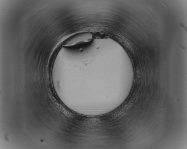 X0000097670784200803281011