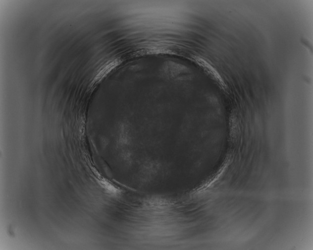 X0000097670785200803281011