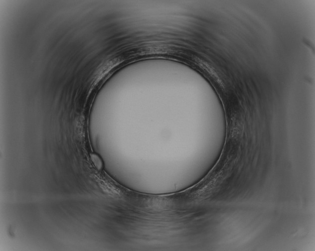 X0000097670786200803281011