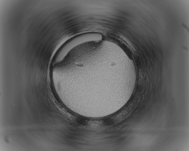 X0000097670788200803281011