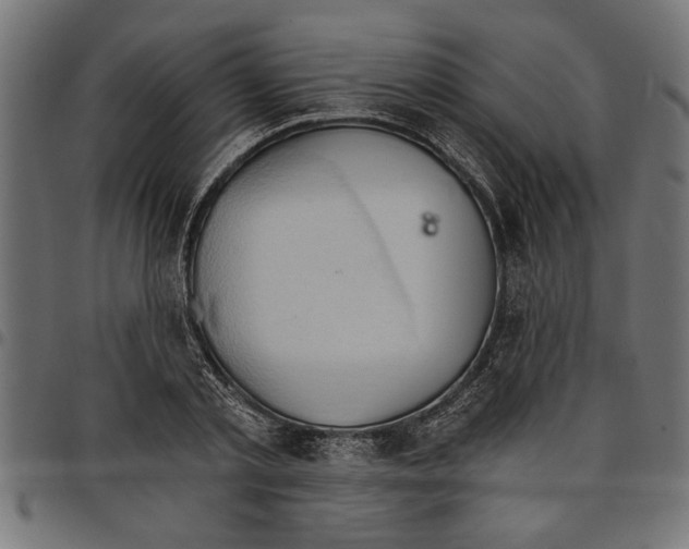X0000097670789200803281011