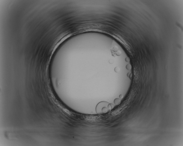 X0000097670790200803281011