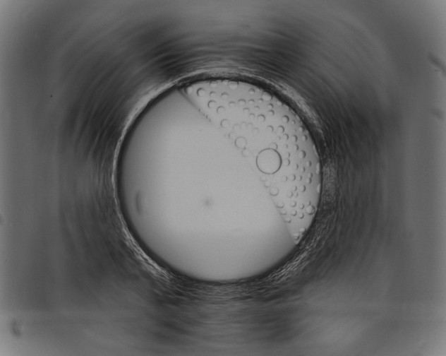 X0000097670791200803281011