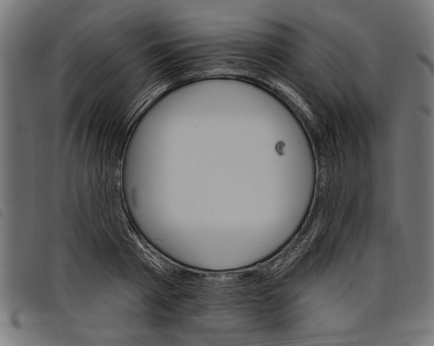 X0000097670793200803281011