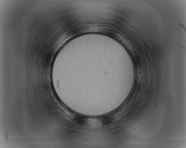 X0000097670794200803281011