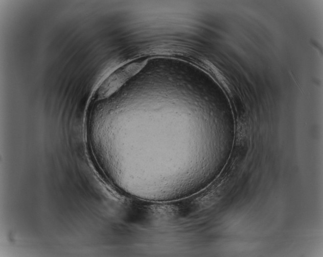 X0000097670795200803281011