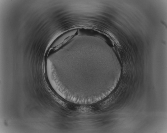 X0000097670796200803281011