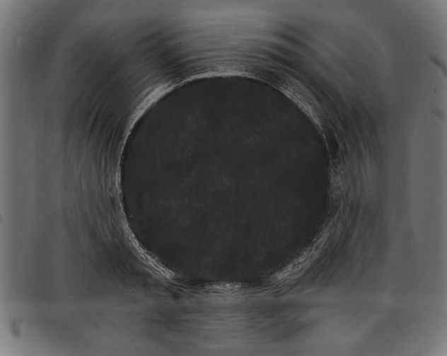 X0000097670797200803281011