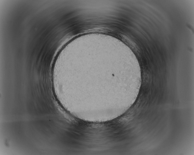 X0000097670800200803281011