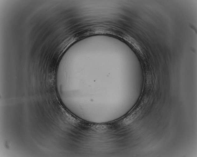 X0000097670801200803281011