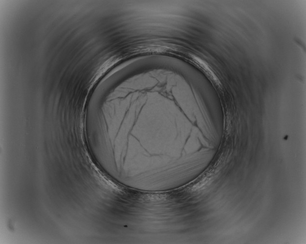 X0000097670802200803281011