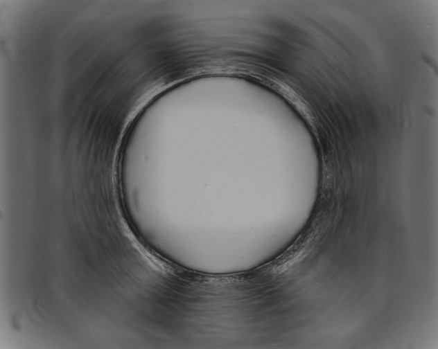 X0000097670803200803281011