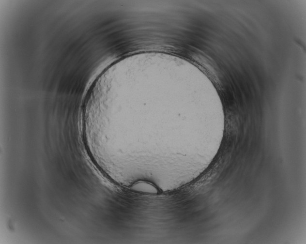X0000097670804200803281011
