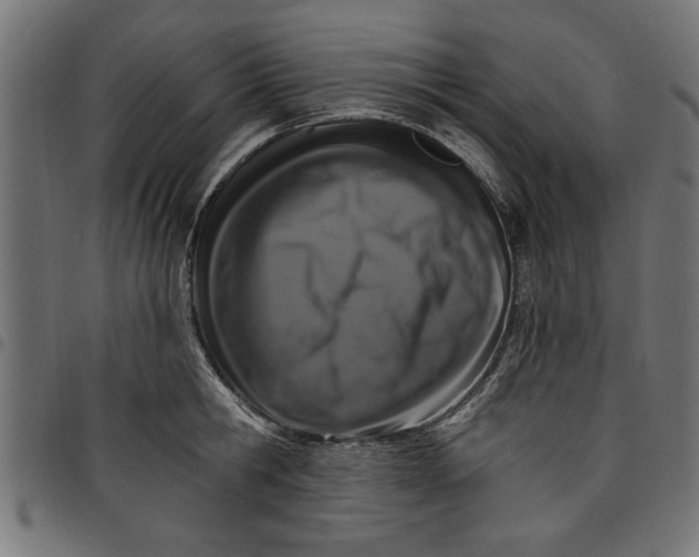 X0000097670806200803281011