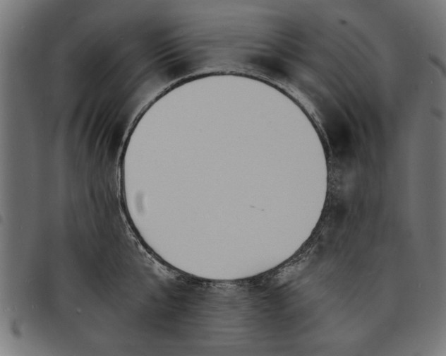 X0000097670807200803281011