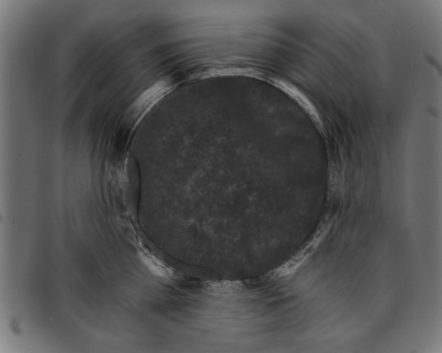 X0000097670809200803281011