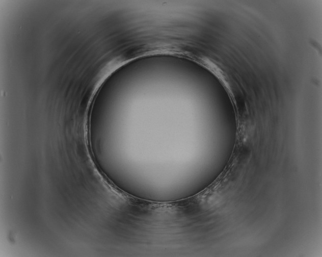 X0000097670811200803281011