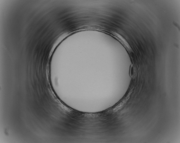 X0000097670812200803281011