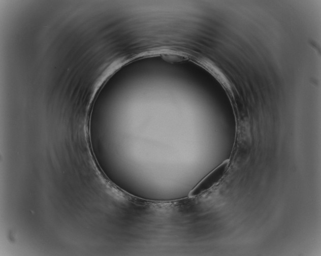 X0000097670813200803281011