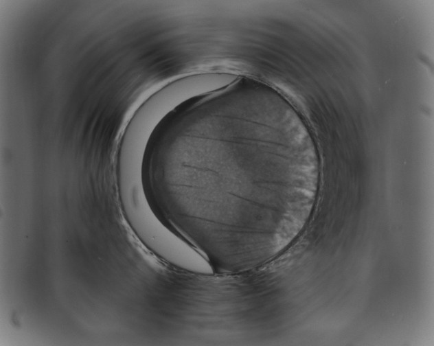 X0000097670816200803281011