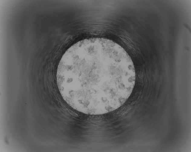 X0000097670817200803281010