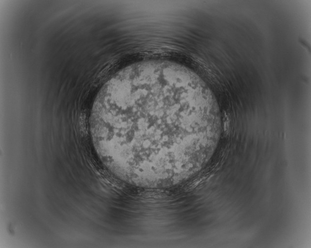 X0000097670819200803281010