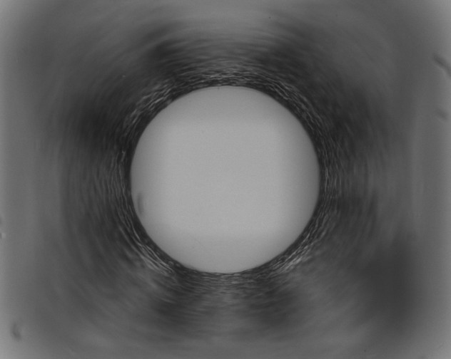 X0000097670820200803281010