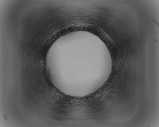 X0000097670821200803281010
