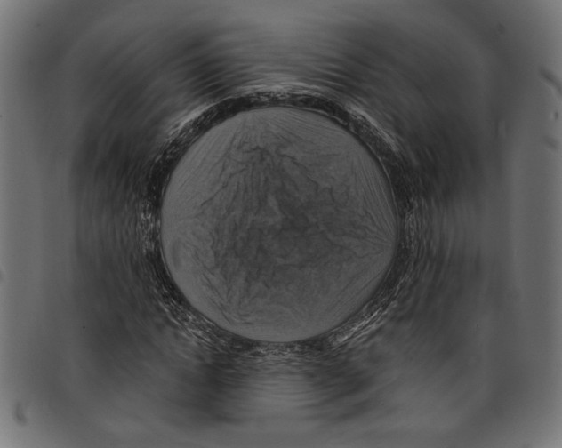 X0000097670822200803281010